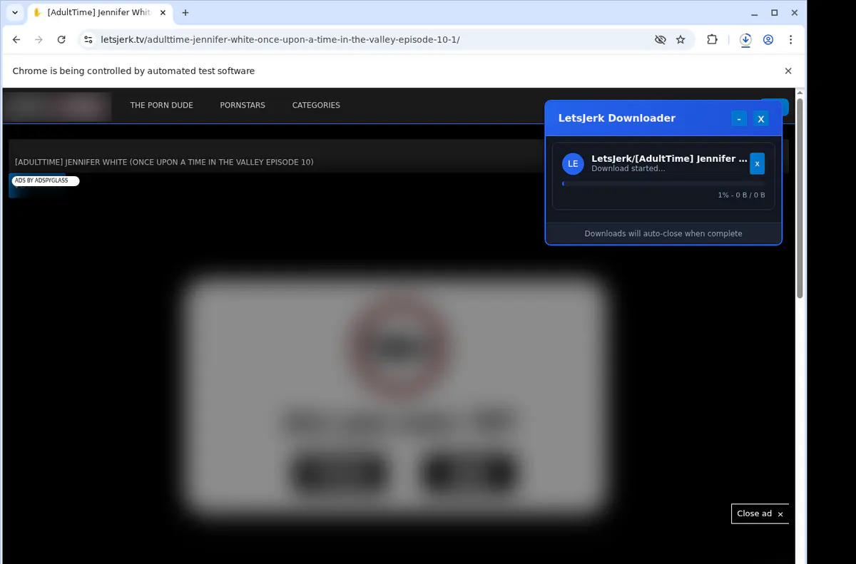 Letsjerk Video Downloader browser extension screenshot 2