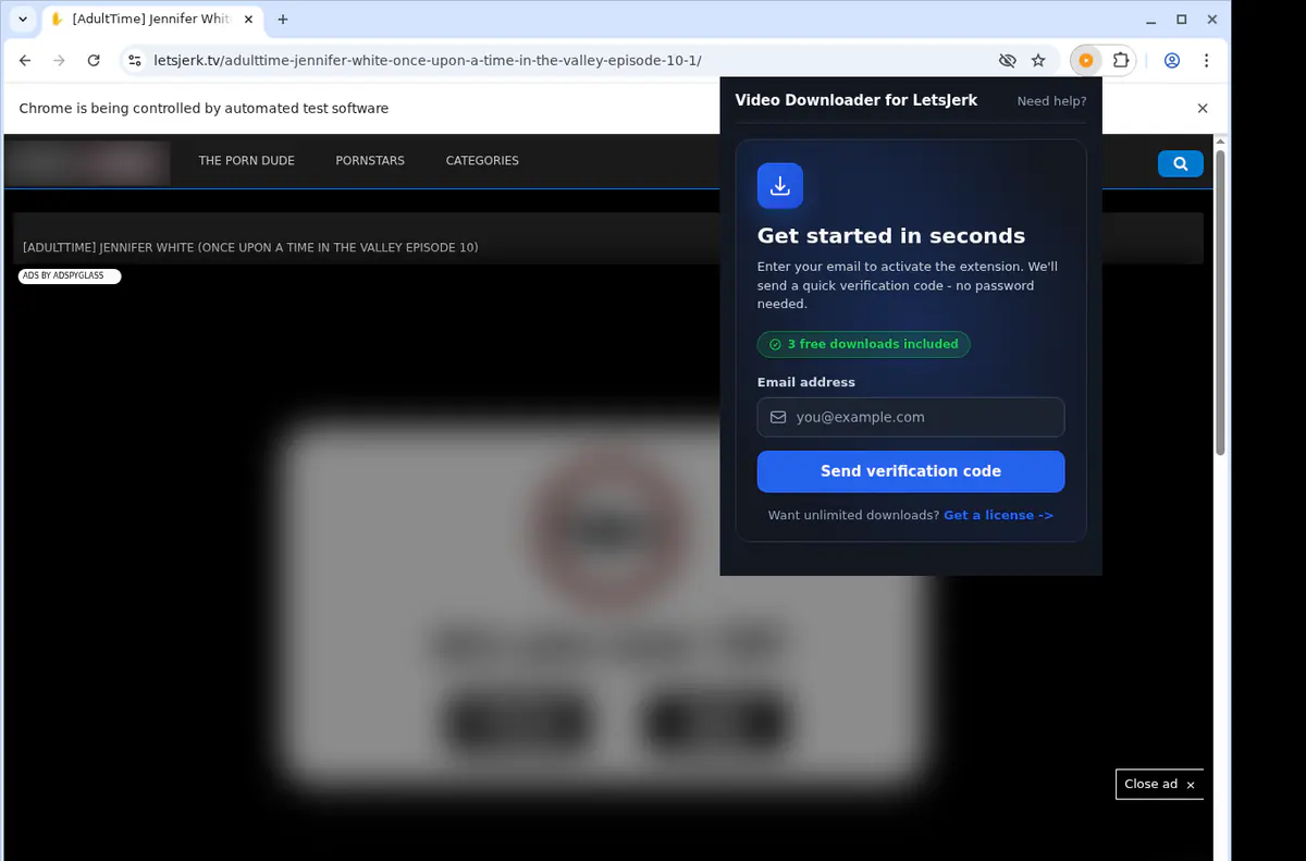 Letsjerk Video Downloader browser extension screenshot 5